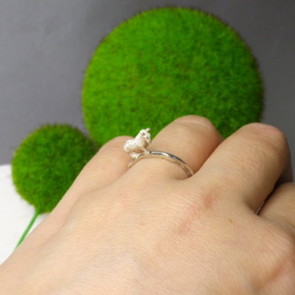 画像5: shimashima シマシマのしろ　（シルバー） (5)