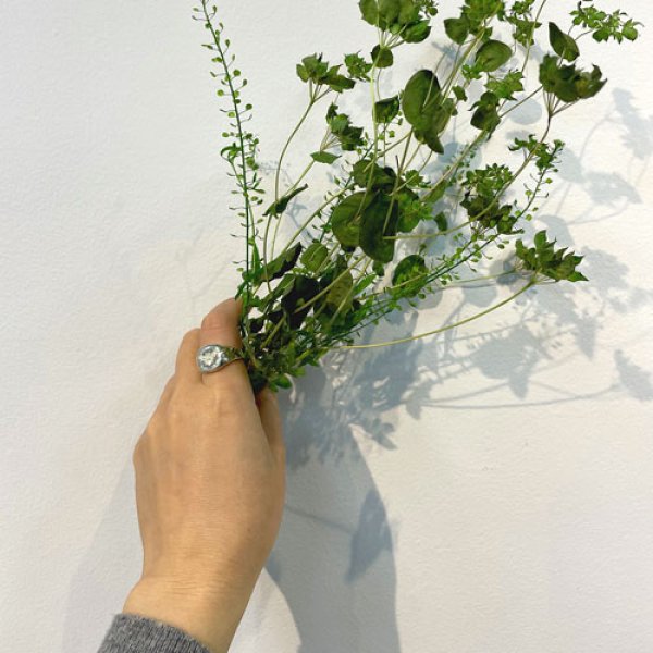 画像5: シグネット　リング　（シルバー　ハニカム蜜蜂） (5)