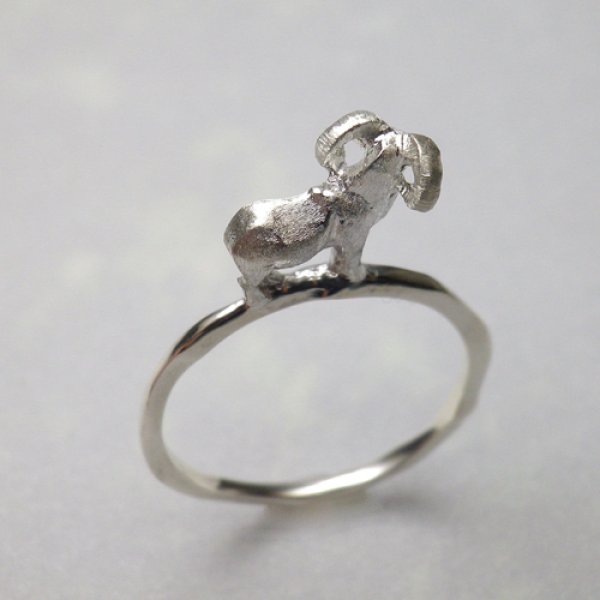 画像5: ムフロン　リング（シルバー） (5)