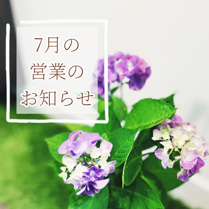 7月の営業のお知らせ🐻‍❄️